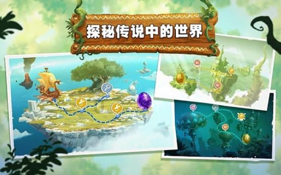 助推乡村振兴!甘肃省陇南市武都区油橄榄产业稳步发展